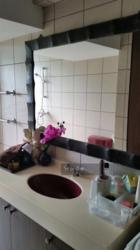 Lakeside Tower (D22), Apartment #114196332